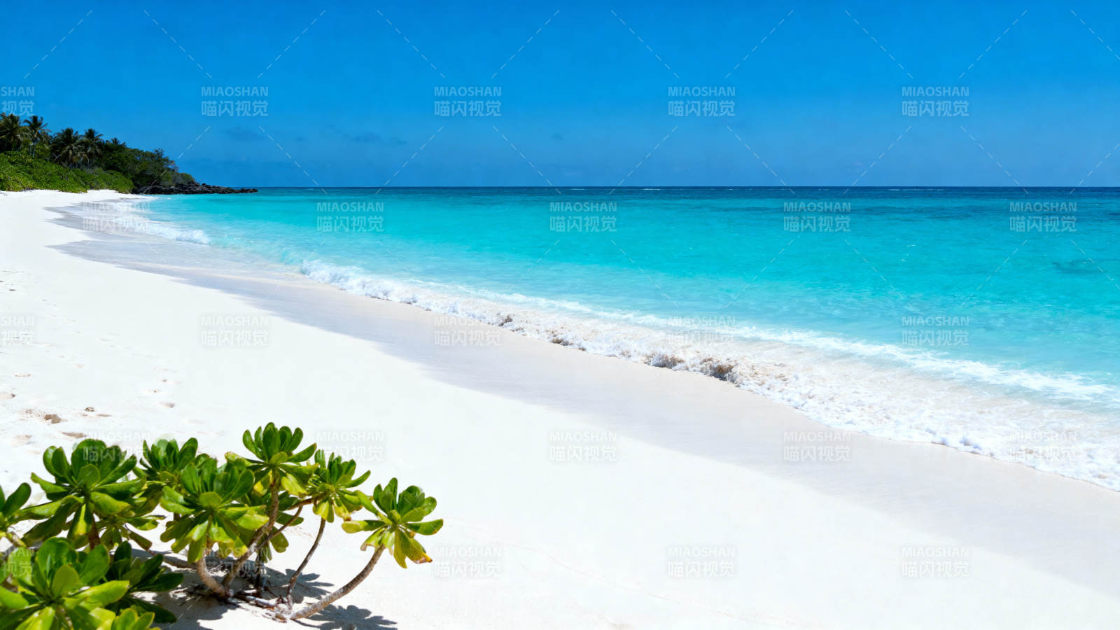 碧海白沙 绿植点缀图片