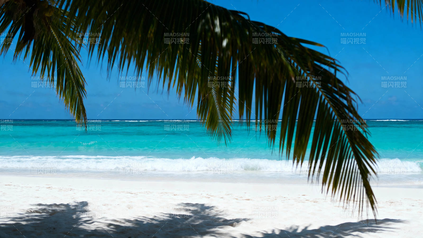 椰影碧海白沙图片