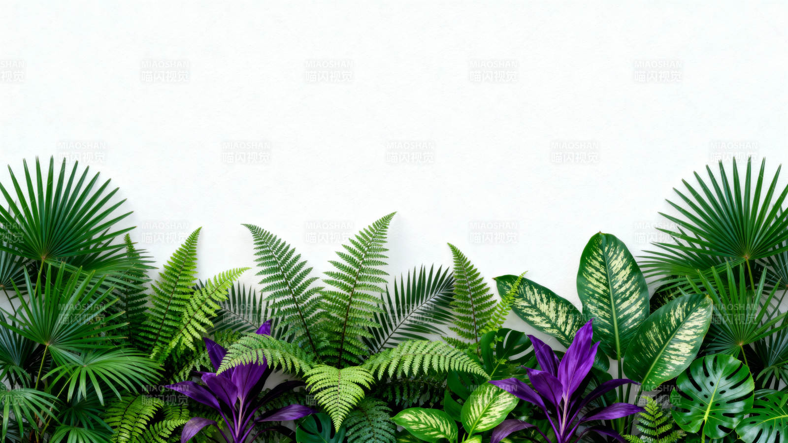 绿植墙 生机盎然图片