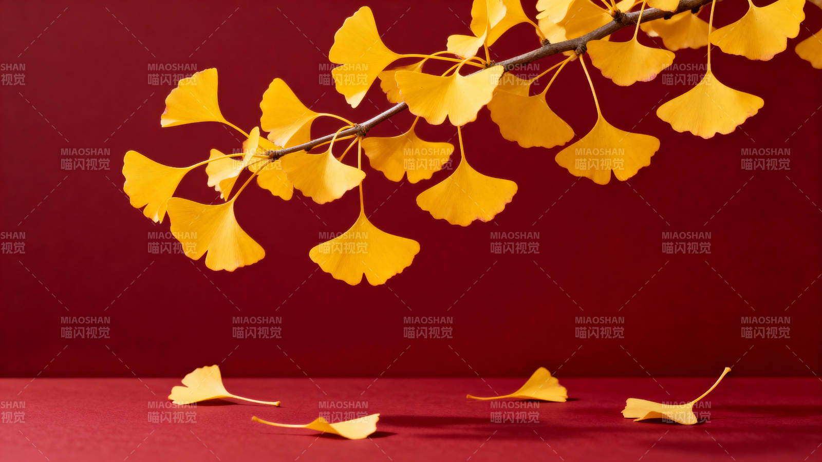 银杏叶落秋意浓图片