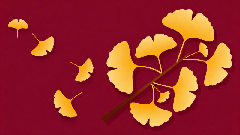 银杏叶飘落图片