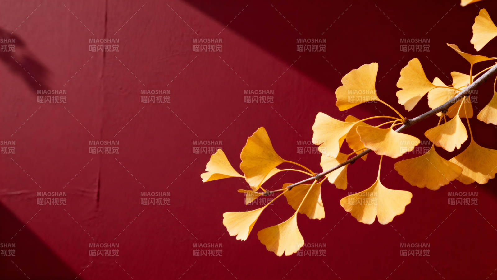 秋叶映红墙图片