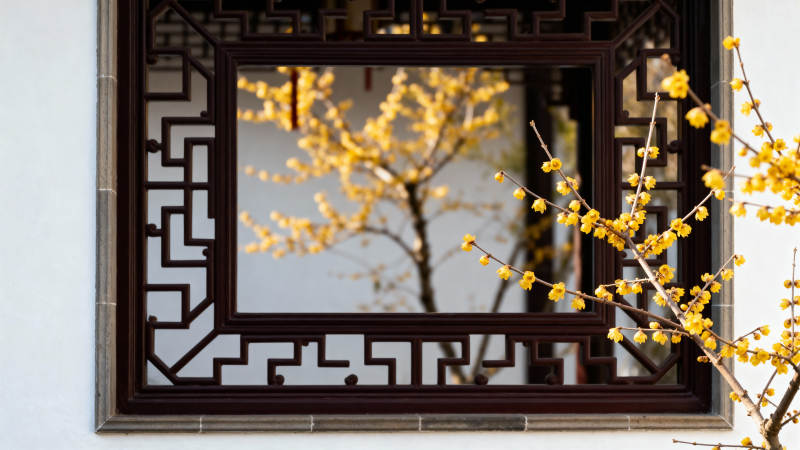 窗影梅枝春意浓图片