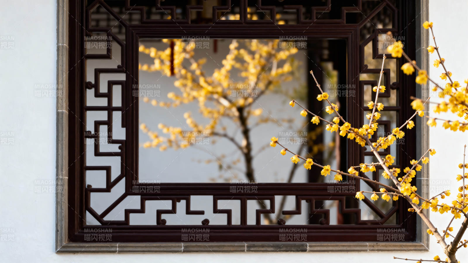 窗影梅枝春意浓图片