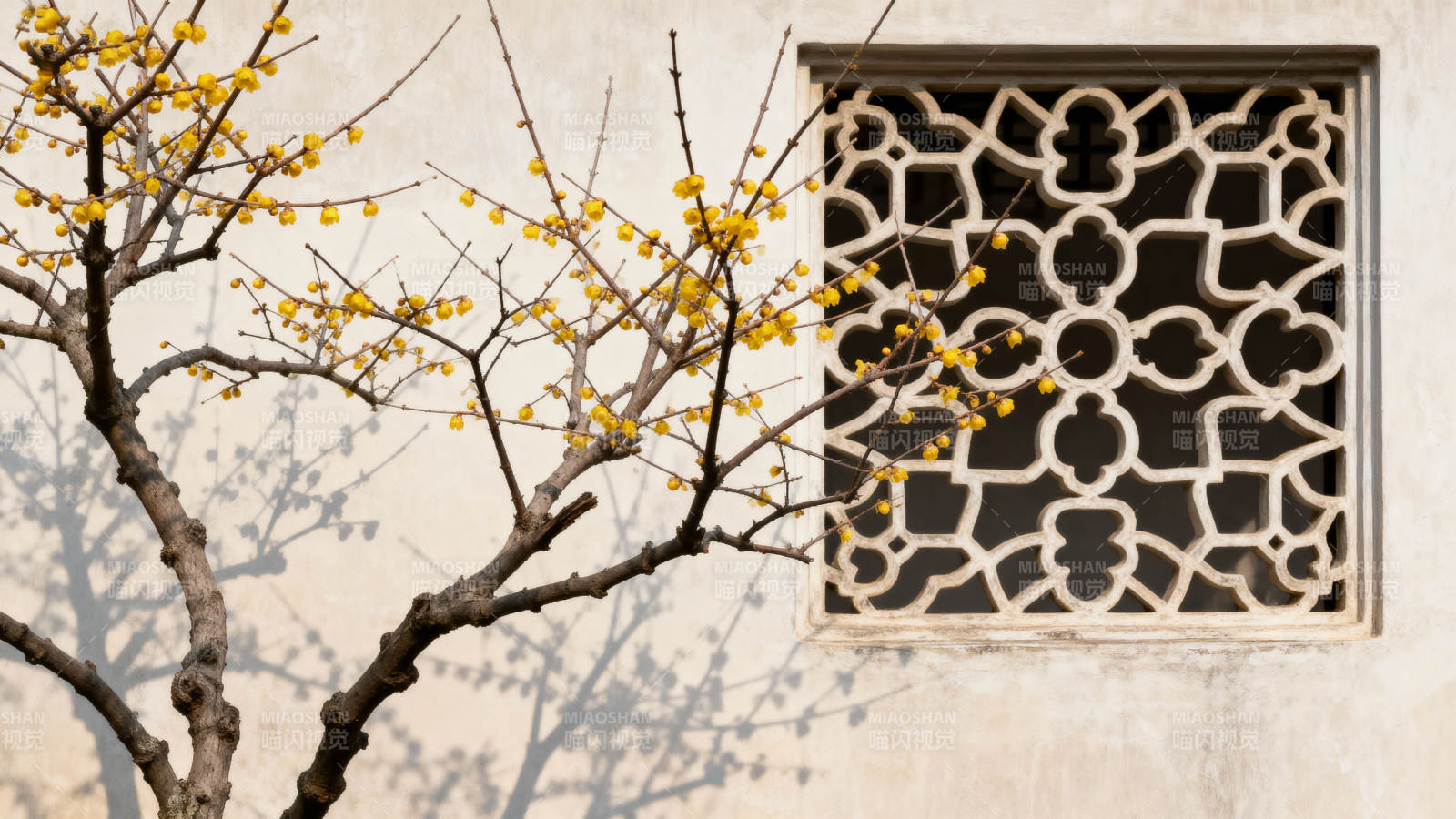 梅影窗韵图片