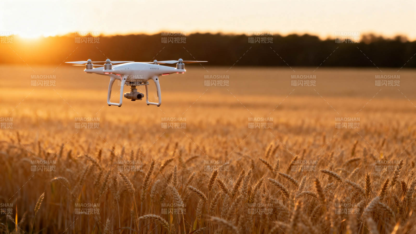 无人机飞越麦田图片