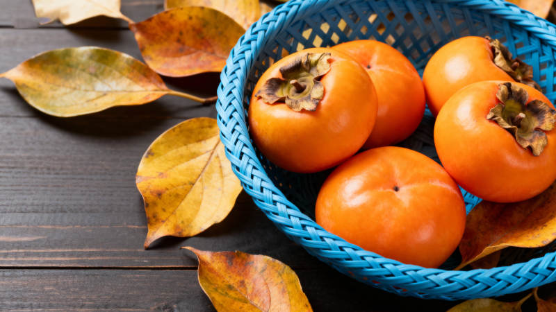 秋日柿子静物图片