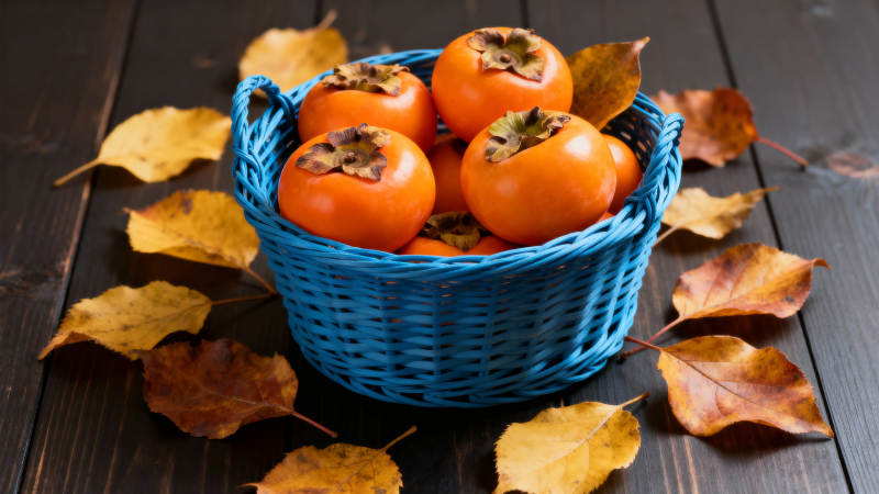 秋日柿子篮图片
