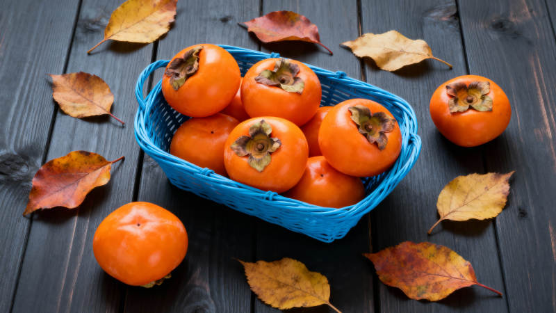 秋日柿子篮图片