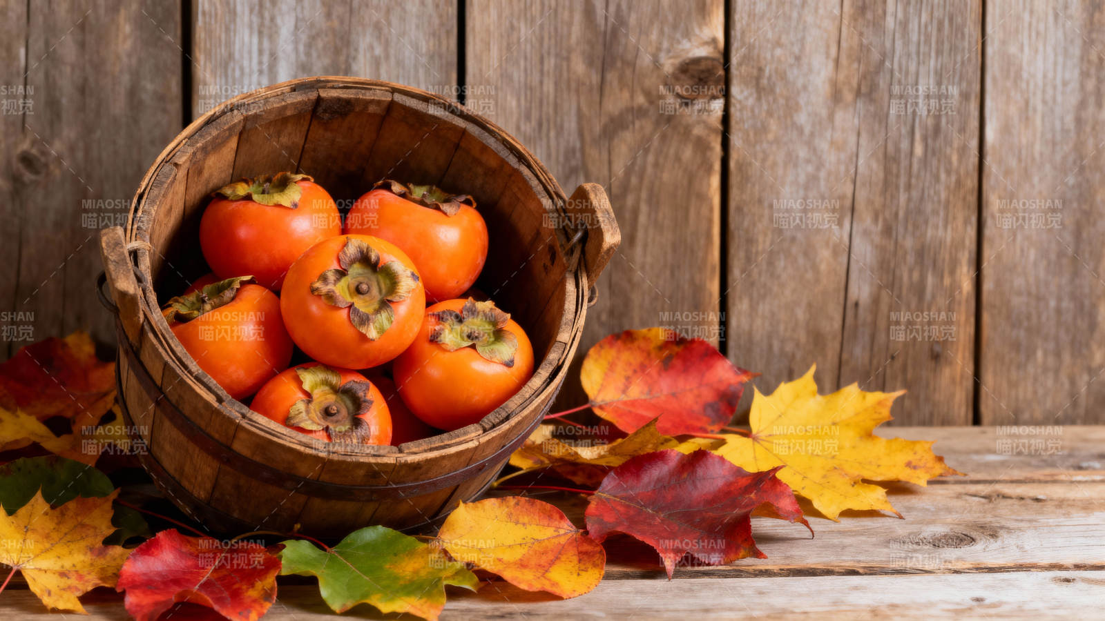 秋日柿子桶图片