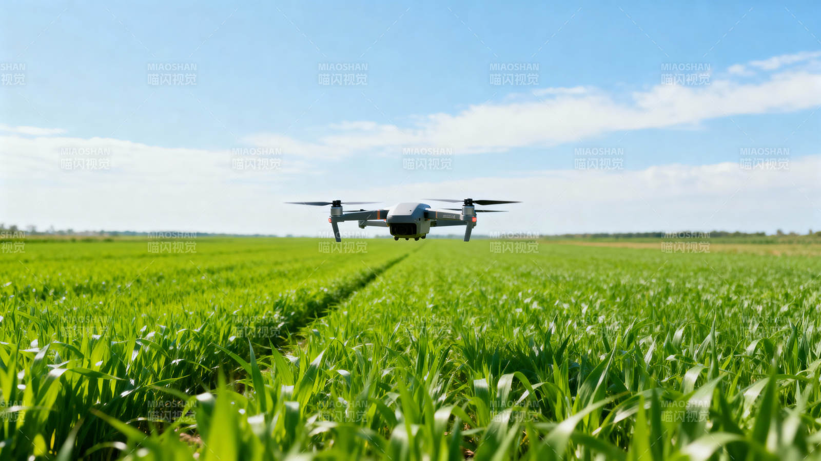 无人机飞越绿野图片