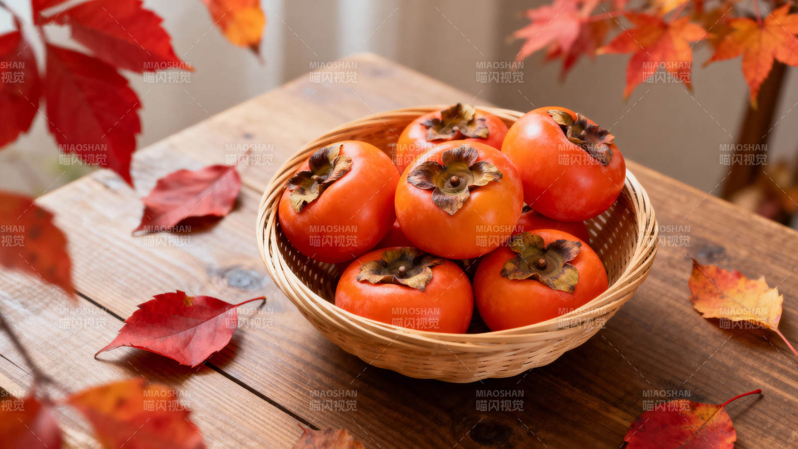 秋日柿子静物图图片