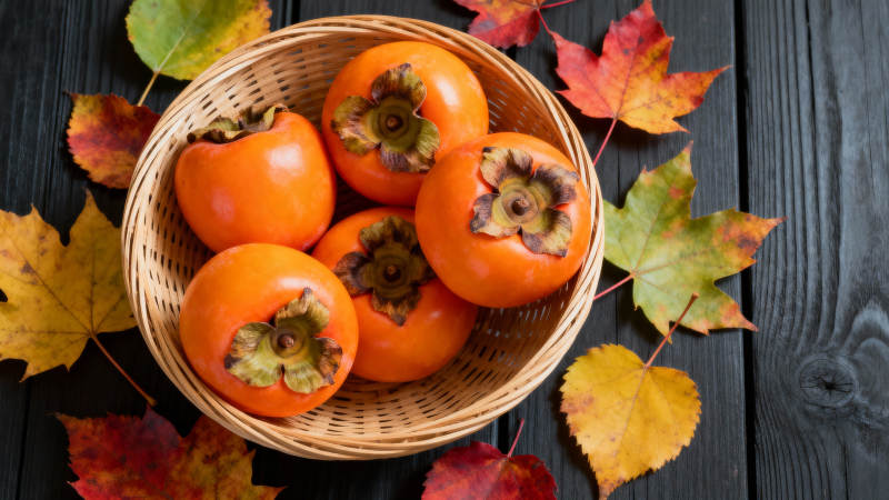 秋日柿子篮图片