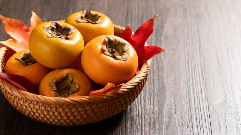 秋日柿子静物图图片