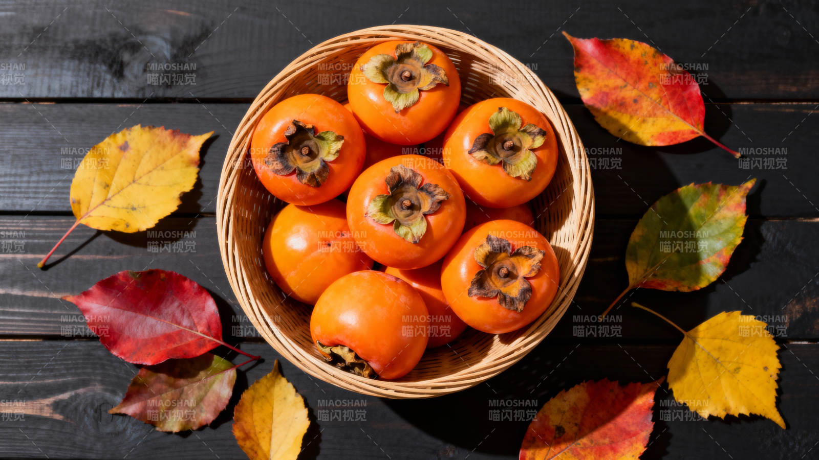 秋日柿子静物图片