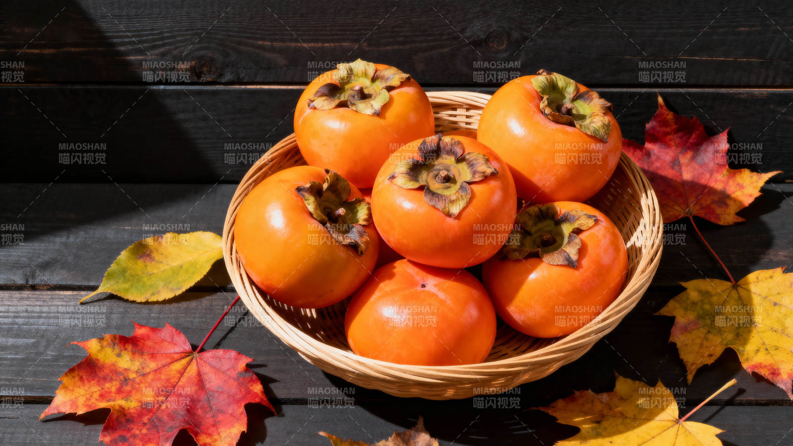 秋日柿子静物图片