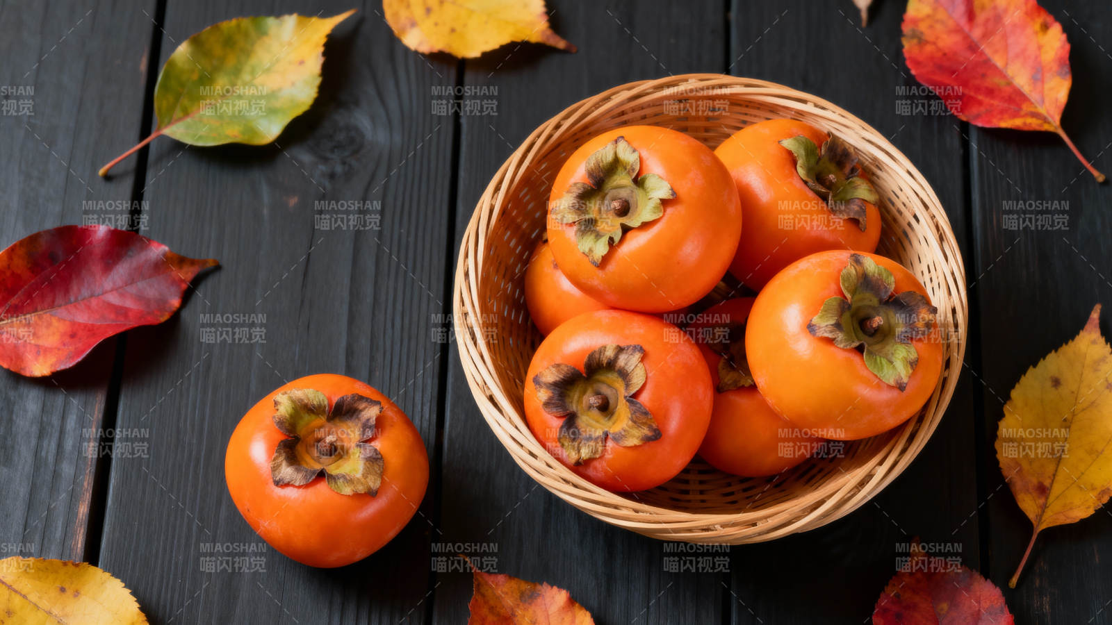 秋日柿子静物图图片