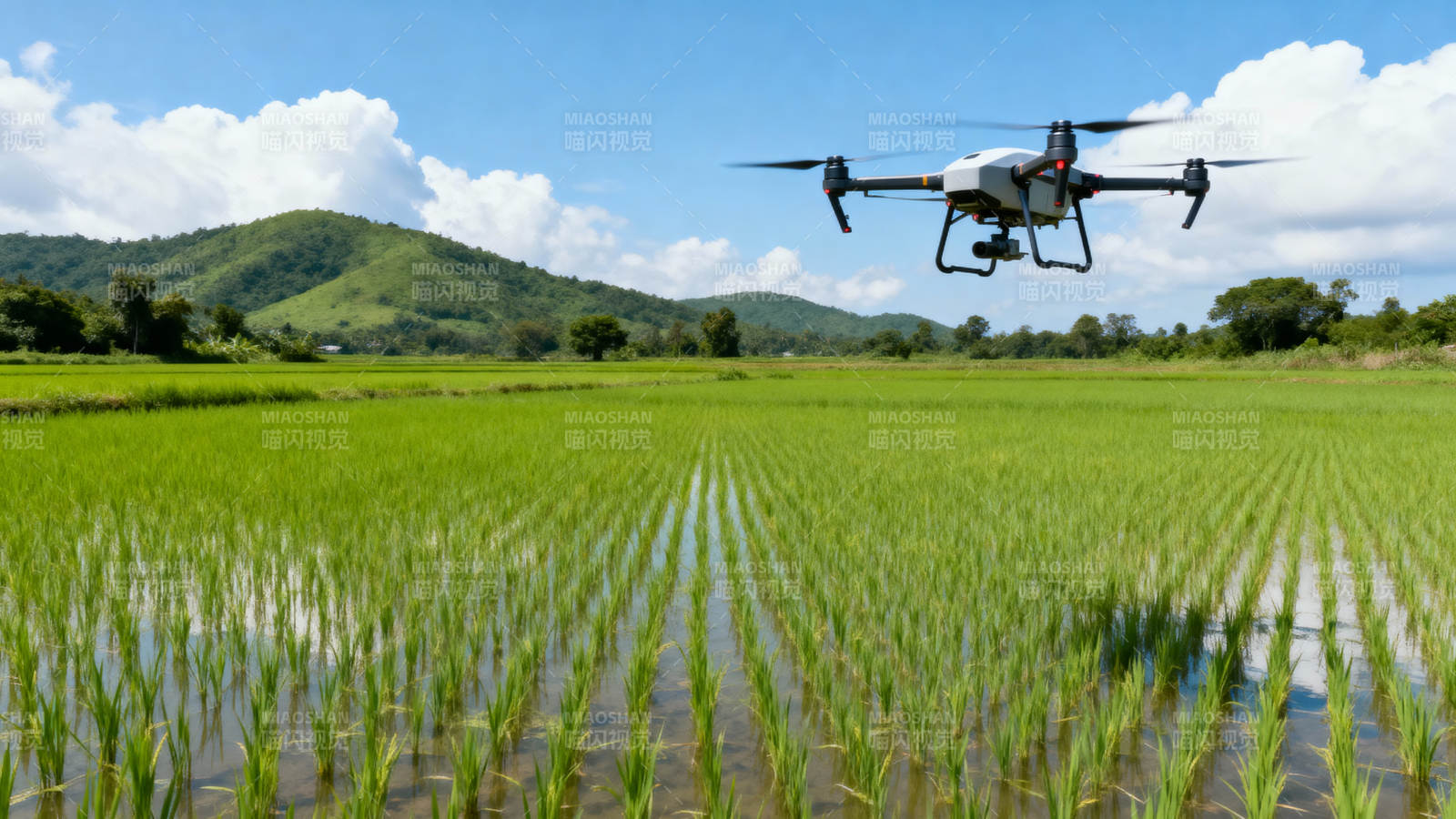 无人机巡田图片