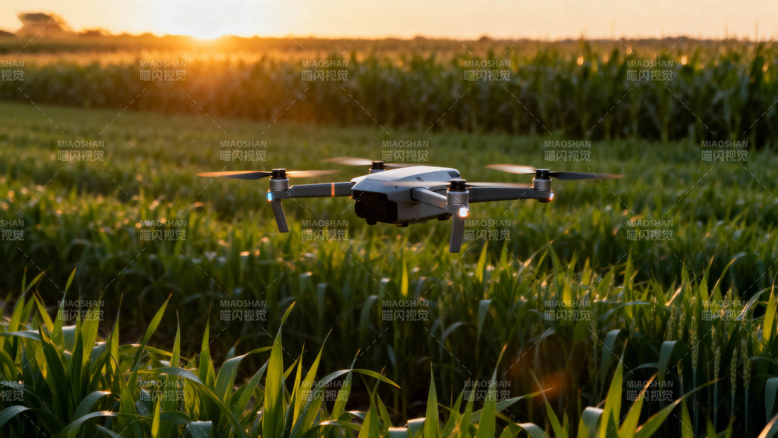 无人机飞越农田图片