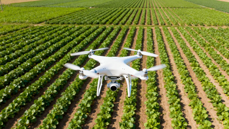 无人机巡田图片