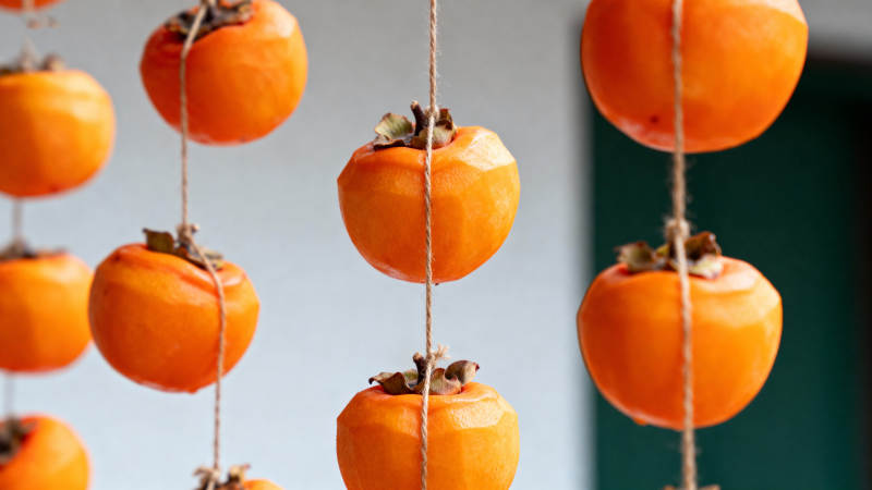 柿子串串挂枝头图片