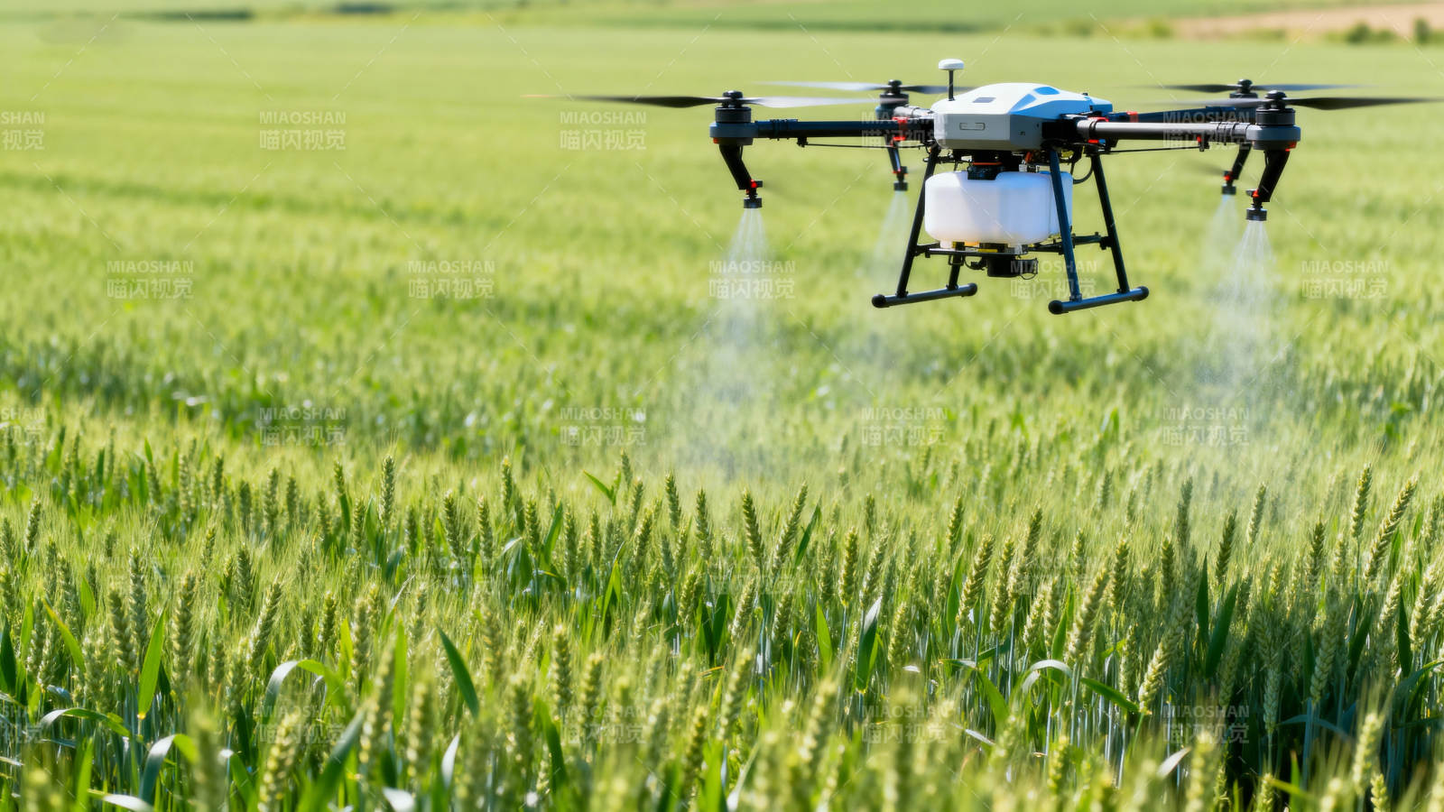 无人机喷洒农田图片