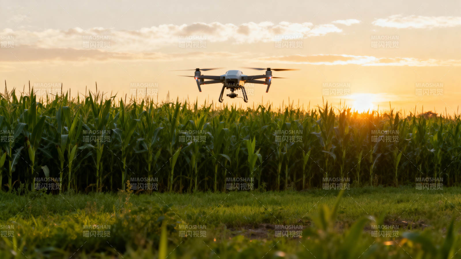 无人机巡田日落时图片