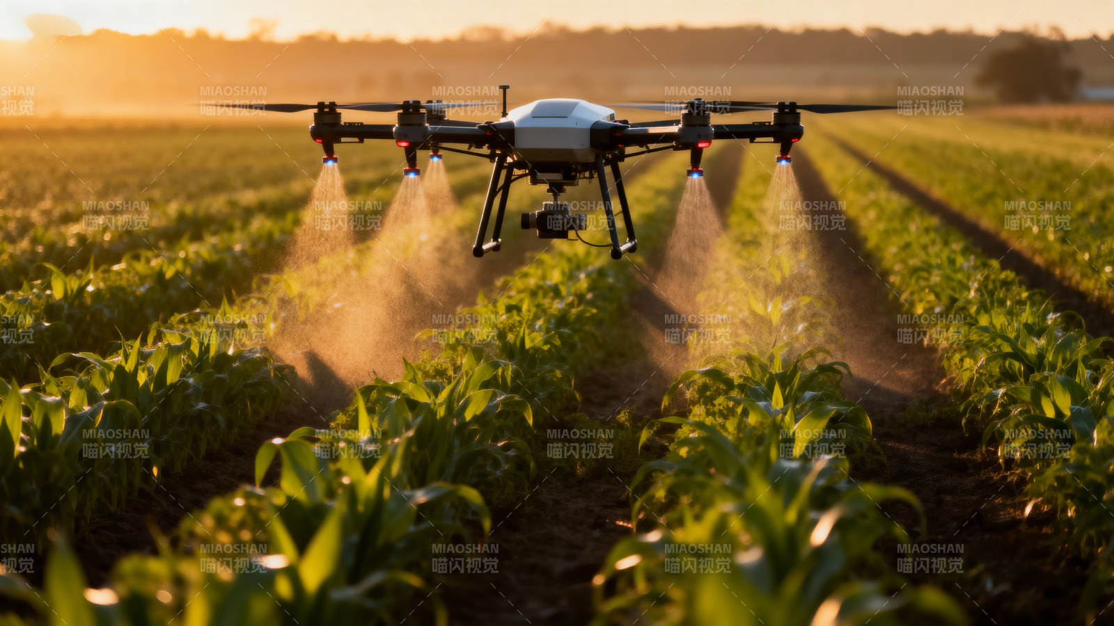 无人机农田喷洒图片