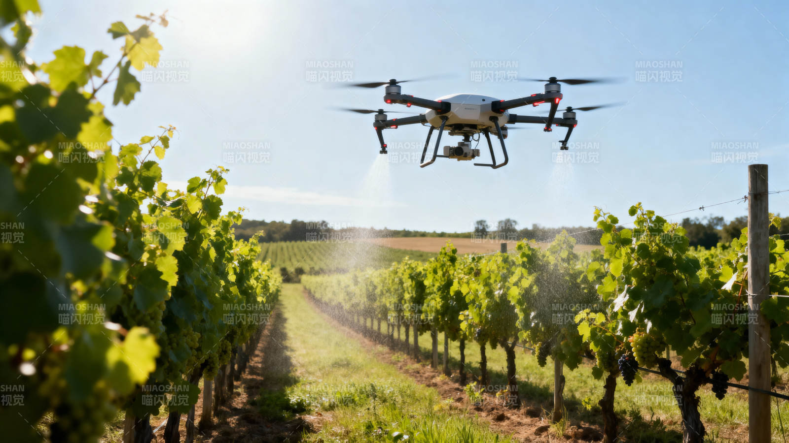 无人机巡检葡萄园图片