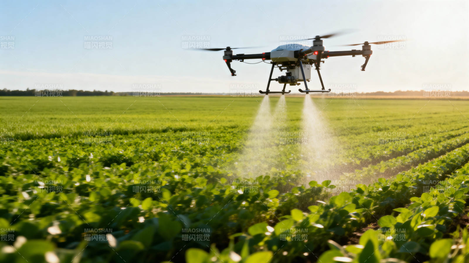 无人机喷洒农田图片