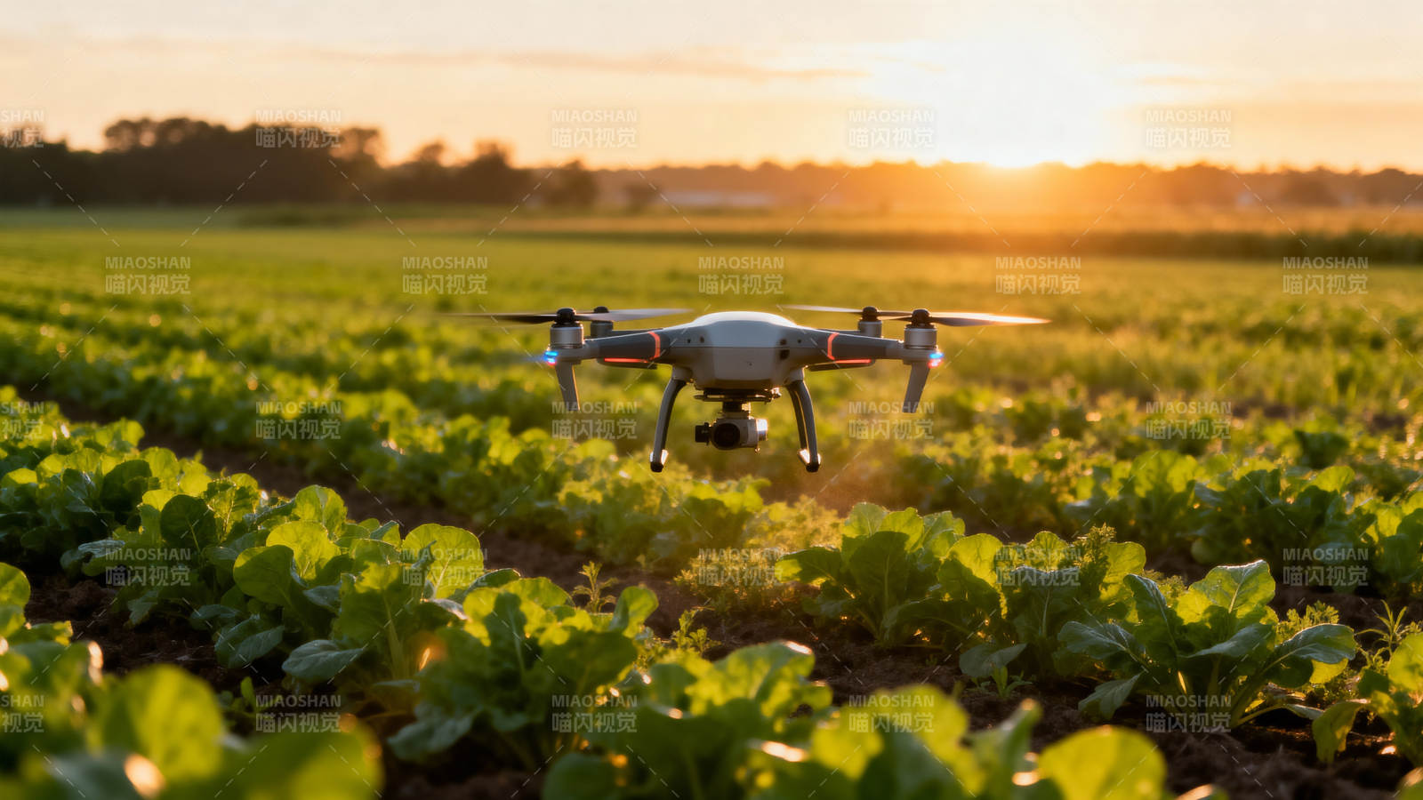 无人机巡田图片