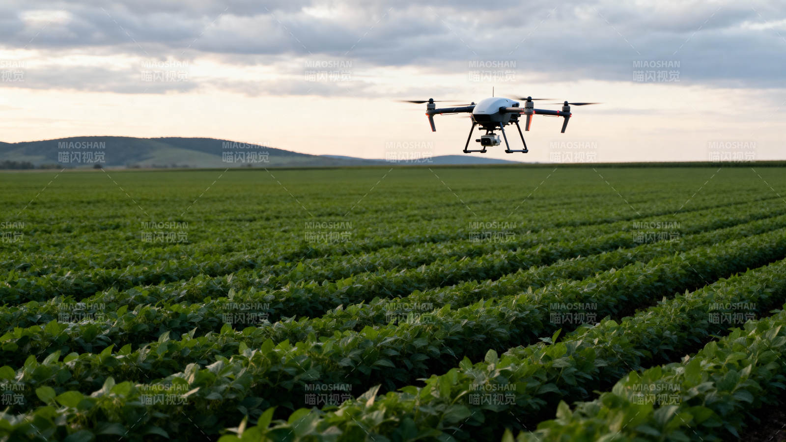 无人机巡田图片