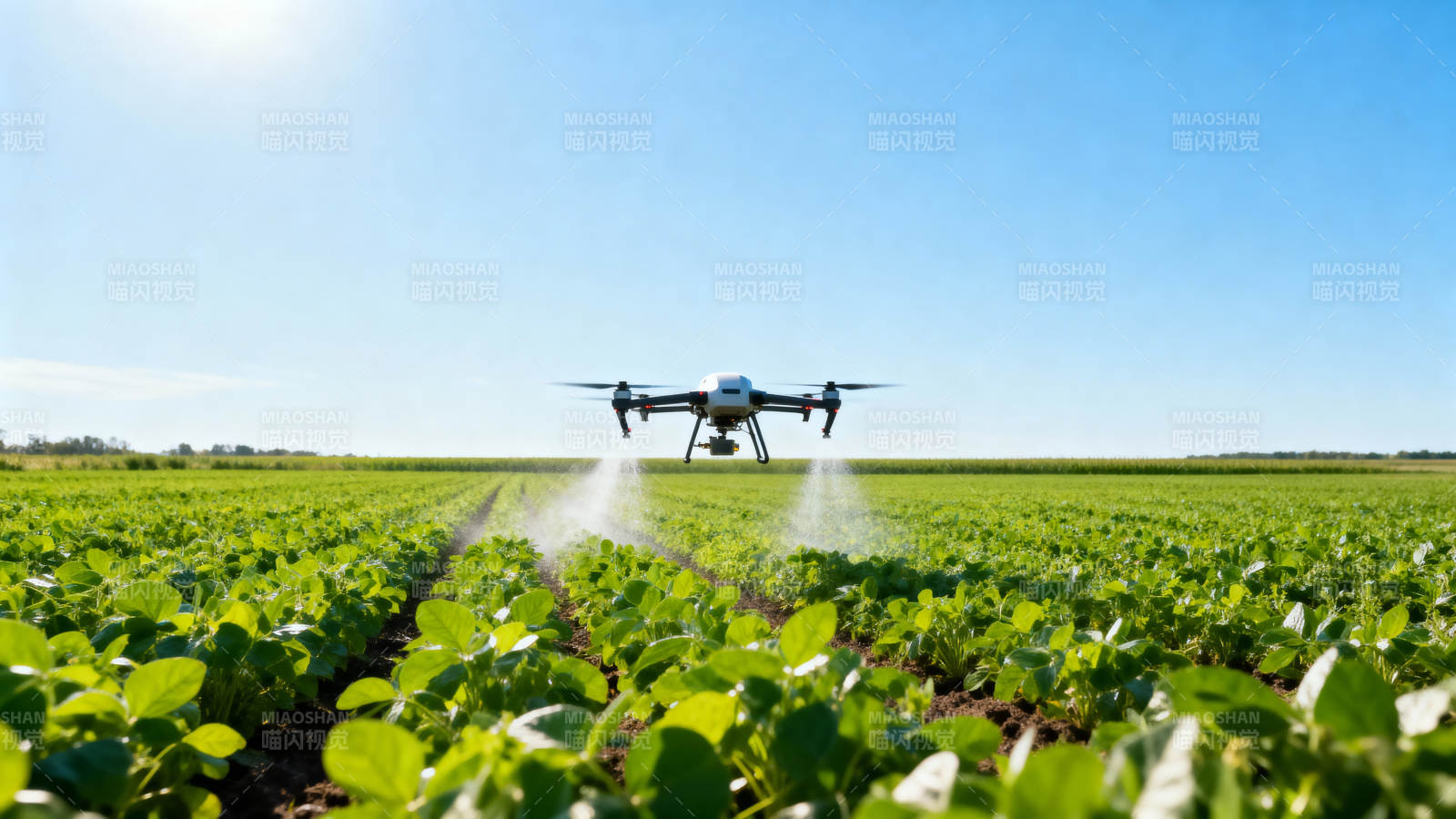 无人机喷洒农田图片