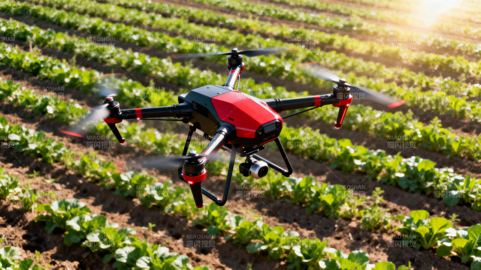 无人机农田作业图片