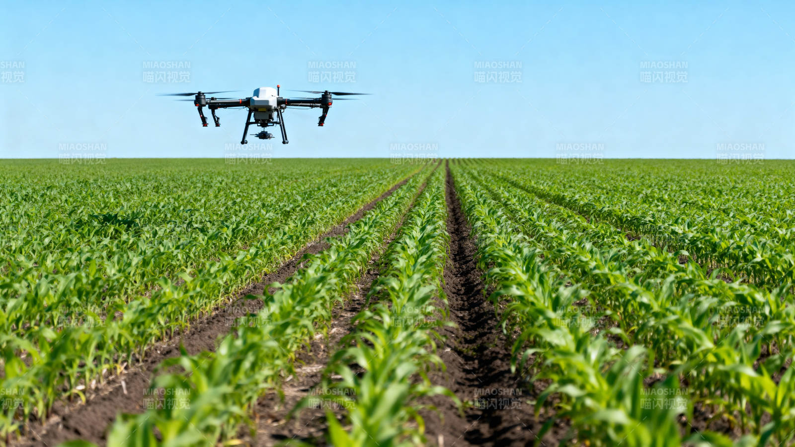 无人机农田作业图片