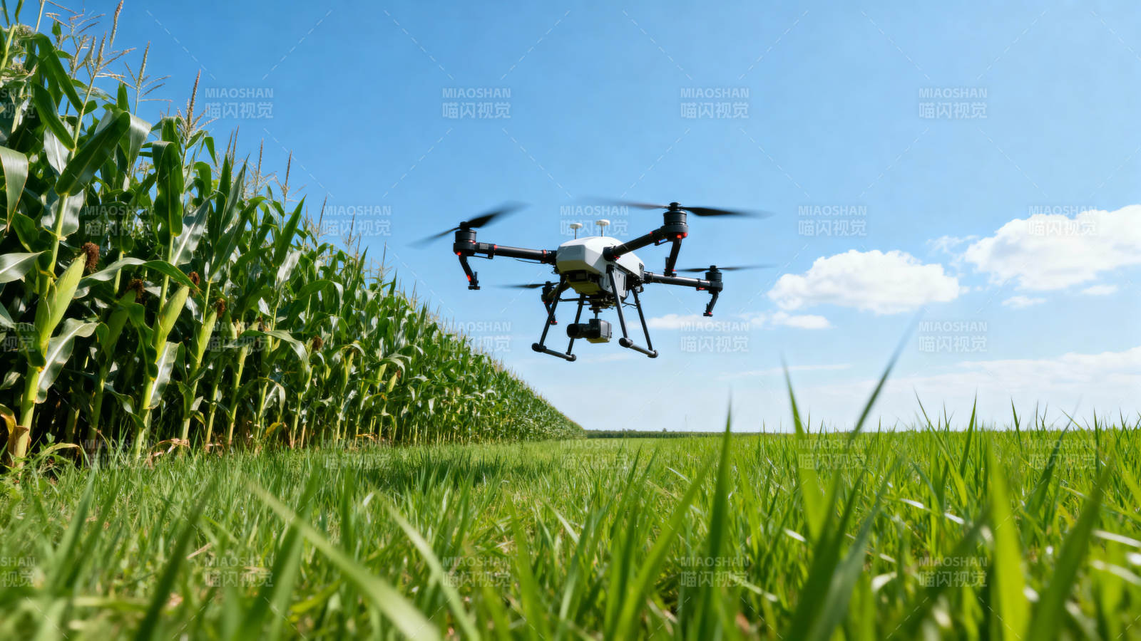 无人机巡田图片