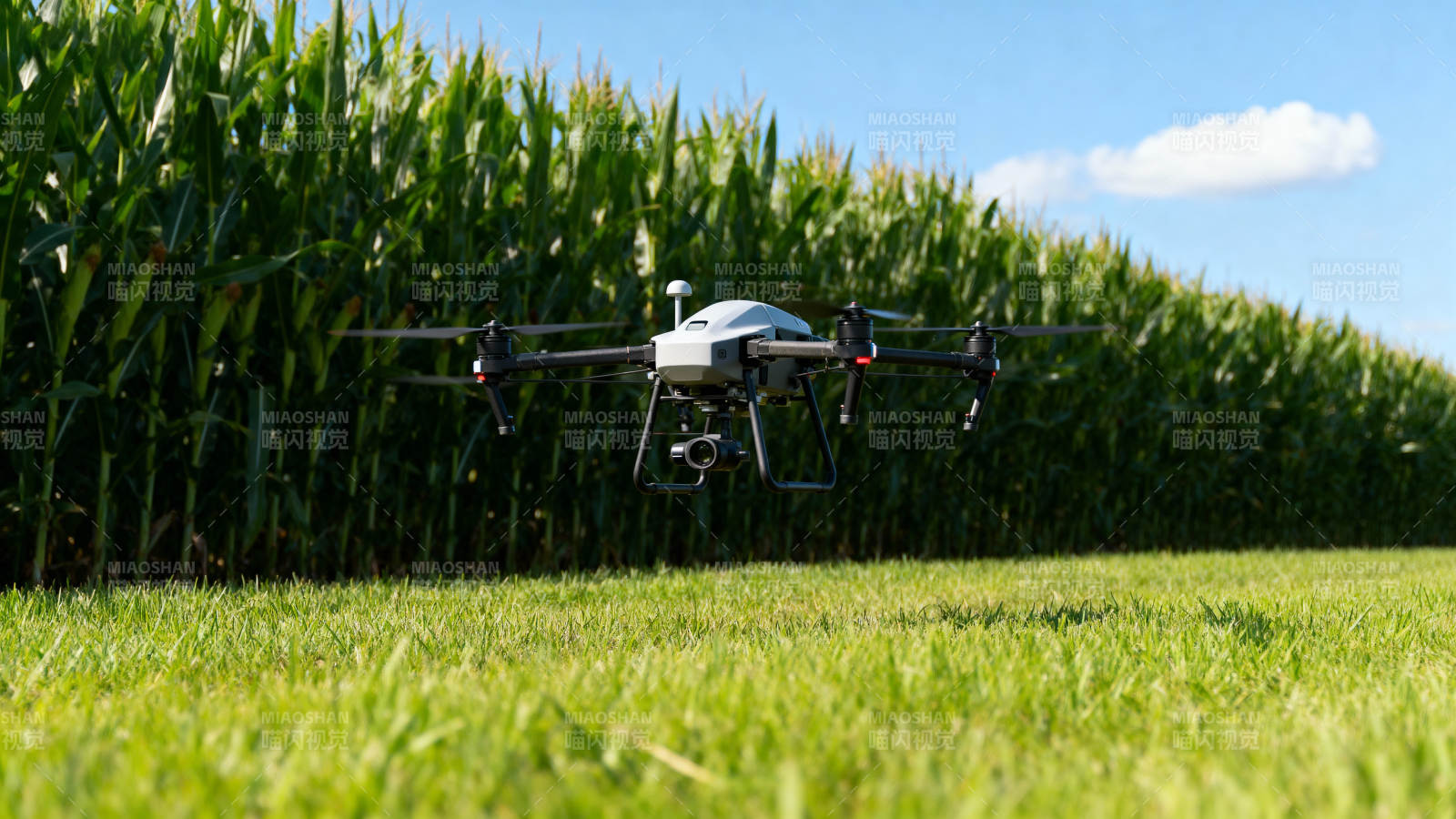 无人机农田巡检图片