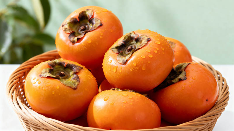 新鲜柿子 橙红诱人图片