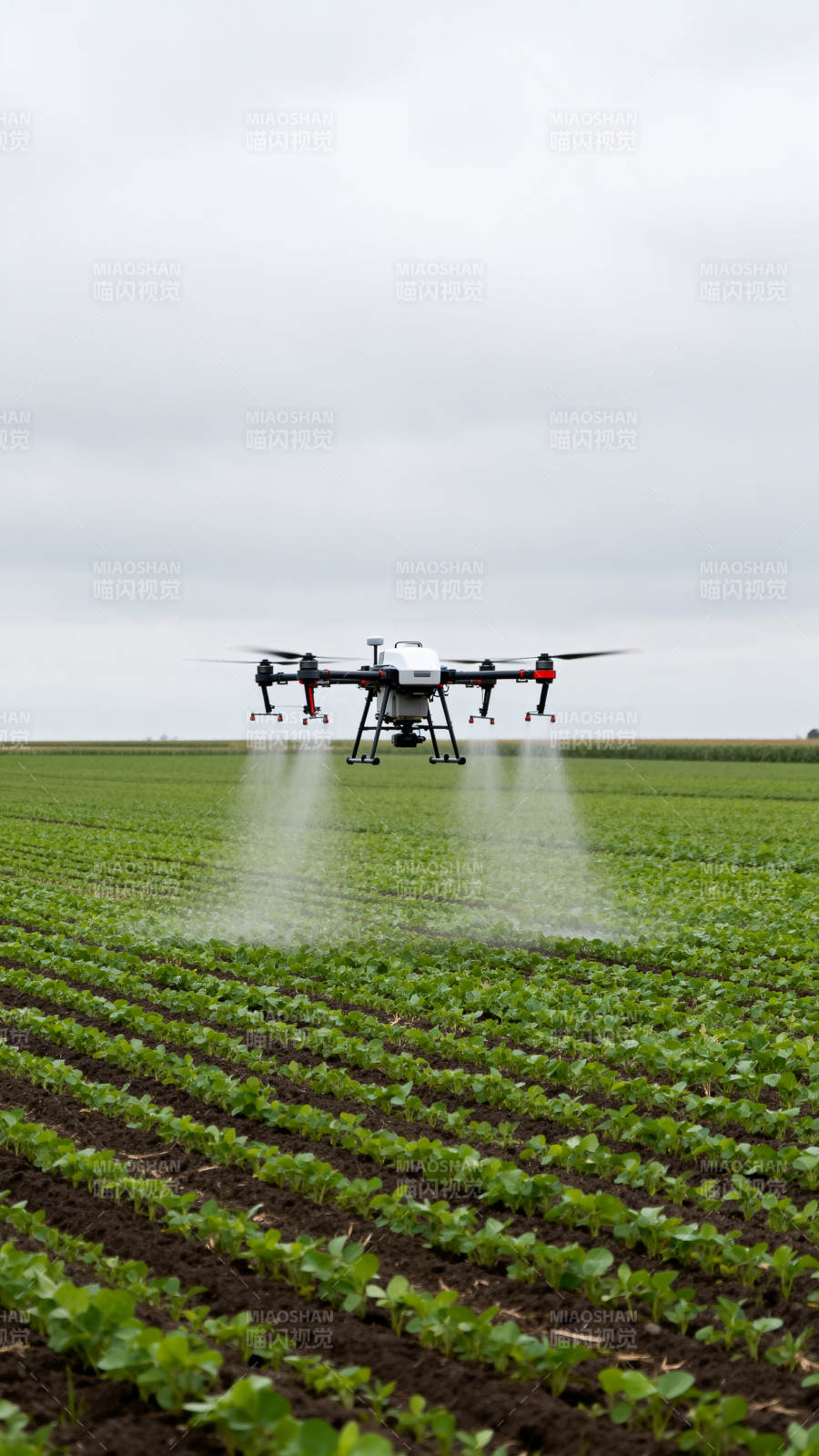 无人机喷洒农田图片