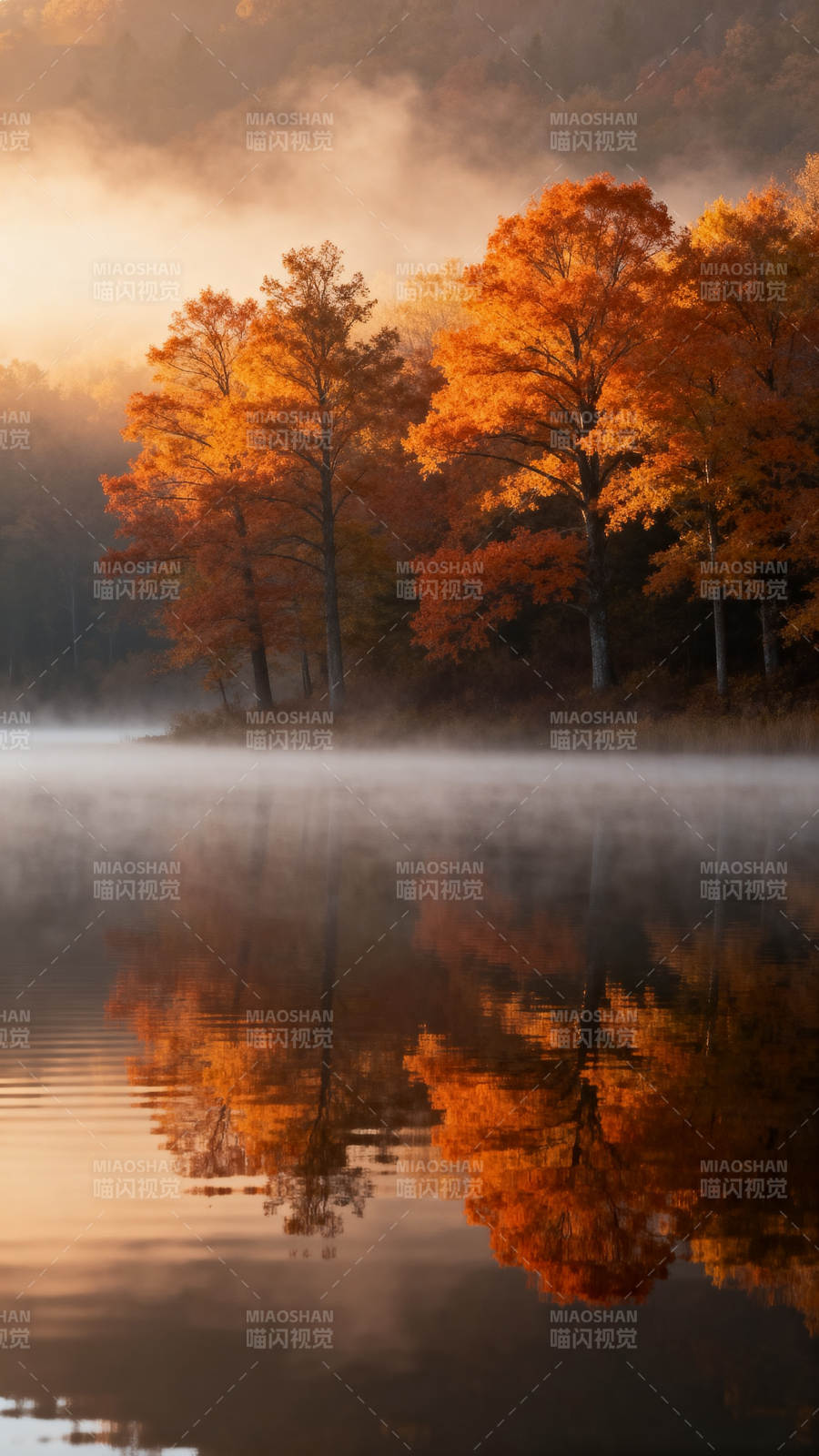 秋雾湖光图片