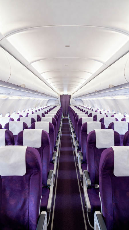 紫色机舱座椅排列图片