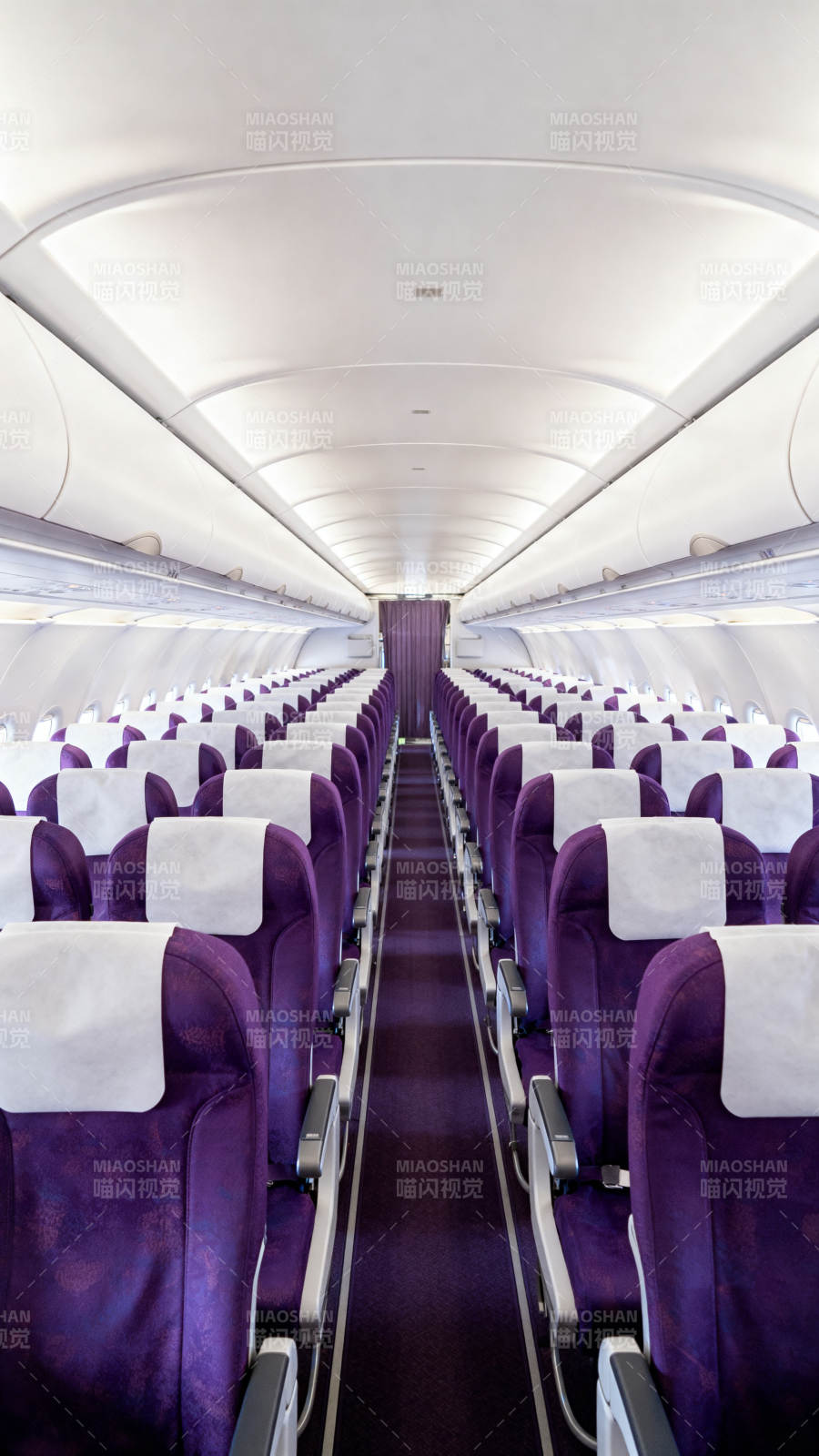 紫色机舱座椅排列图片