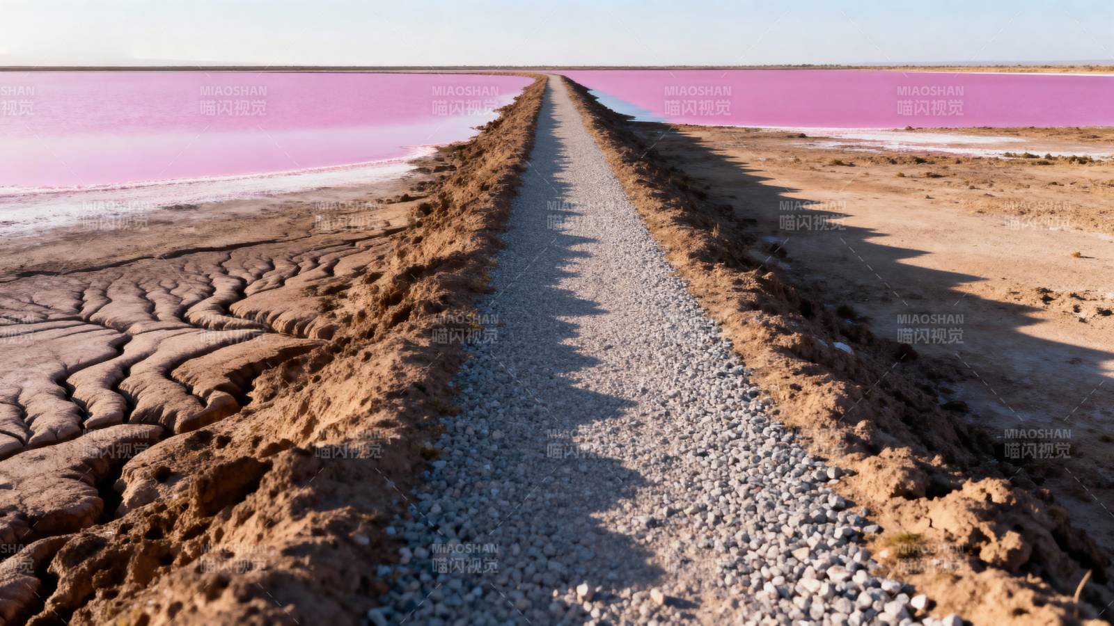 粉红湖畔小径图片