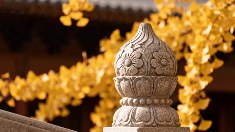 秋叶映石雕图片