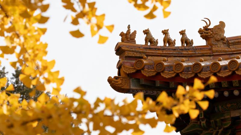 秋叶映古檐图片