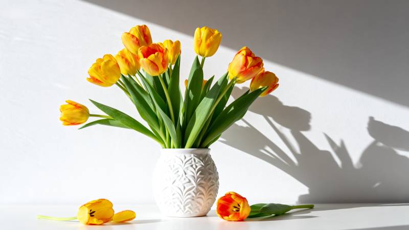 郁金香静物图图片