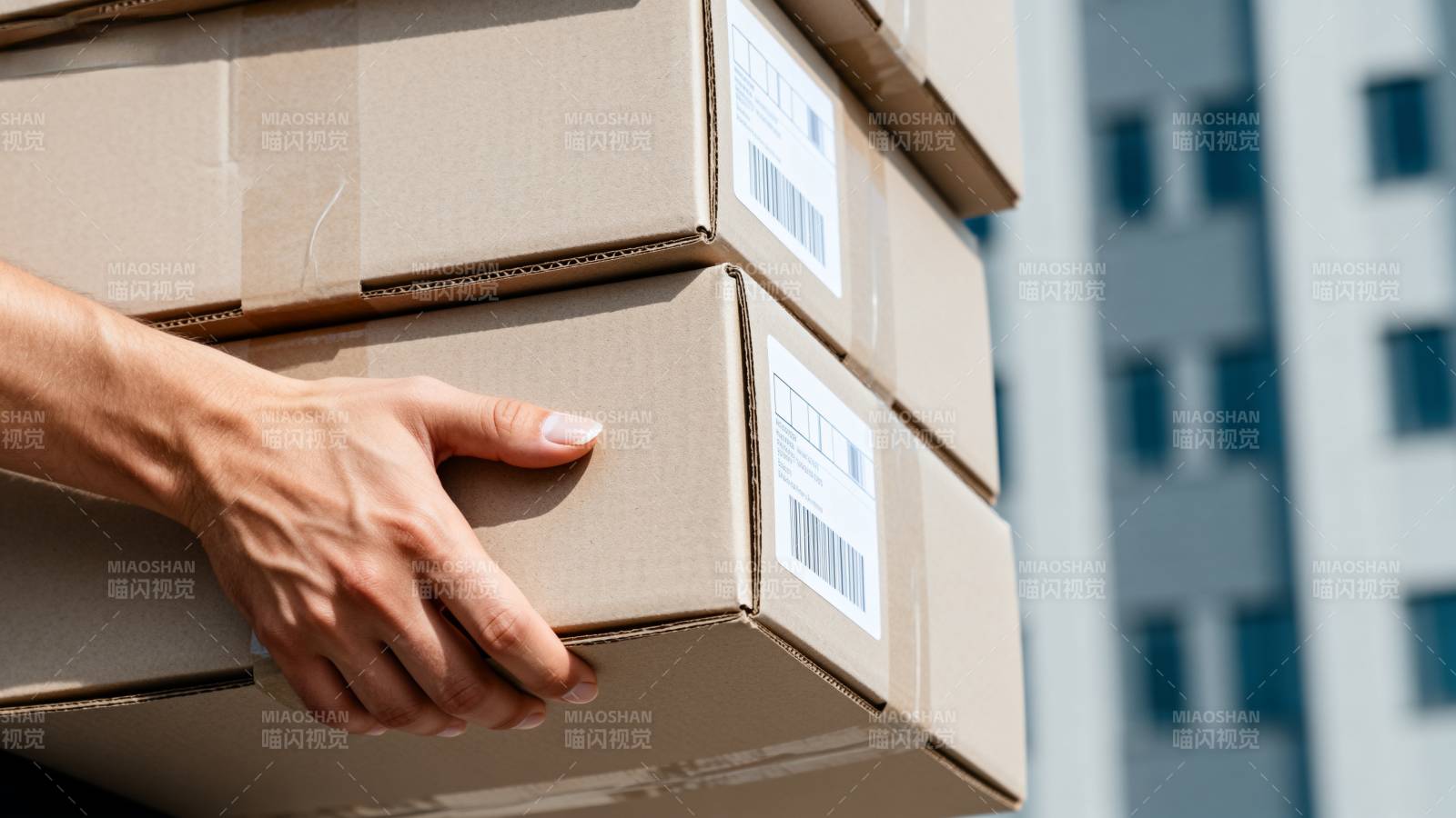 手提包裹 快递送达图片