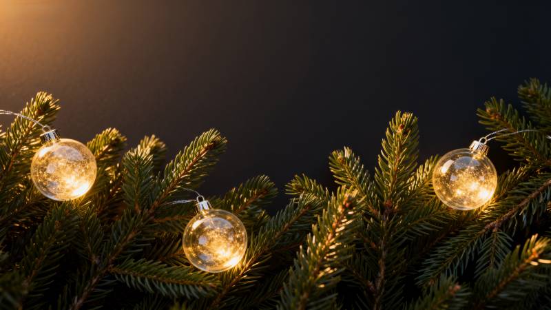 圣诞树上的温暖灯光图片