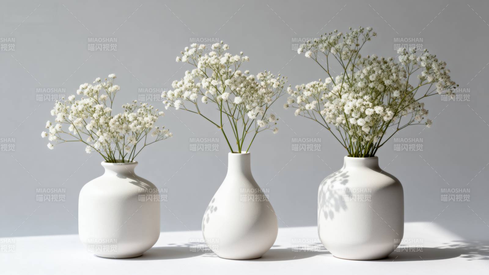 三瓶小白花图片