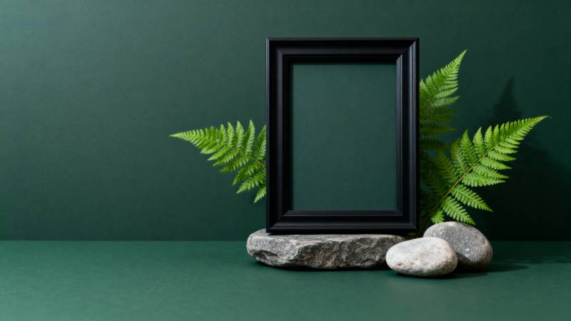 绿意盎然的静物框图片